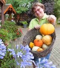 Hokkaido trifft Bischofsmütze: Ungewöhnliche Kürbis-Kreuzungen in Falkenau -