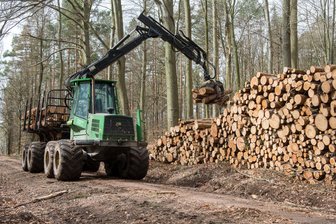 Holzeinschlag auf dem Rochlitzer Berg: Was Ausflügler nun beachten müssen - Auf dem Rochlitzer Berg beginnt nun die Holzernte, hier ein Bild von 2018.