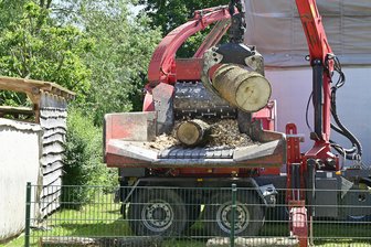 Holzeinschlag im Neuwald: Sachsenforst startet Waldpflege im Revier Falkenau - Im Revier Falkenau startet der Holzeinschlag.