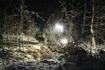 Holzeinschlag in Eich - Zwischen Eich und Lengenfeld durchforstet der Sachsenforst junge und mittelalte Bestände, auch bei Dunkelheit.