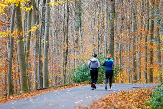 Holzeinschlag: Wanderwege zeitweise gesperrt - Wegen Fällarbeiten sind in Klingenthal bis Monatsende Wanderwege zeitweise gesperrt.