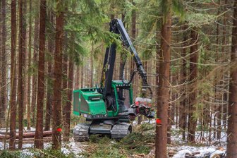 Holzernte im Erzgebirge sorgt für viel Kritik: „Wir werden beschimpft und an der Arbeit gehindert“ - Holzernte im Gebiet zwischen Bockau und Jägerhaus.