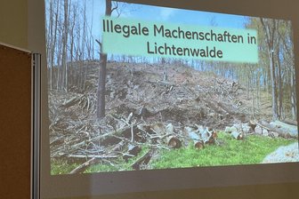 Holzernte im Naturschutzgebiet: Nabu rät Lichtenwalde, sich nicht spalten zu lassen - Der Startbildschirm des Nabu-Vortrages von Ben Fleischer machte klar, wovor die Lichtenwalder Bürgerinitiative gegen Kahlschlag Angst hat: Dass der Waldbesitzer unter dem Mäntelchen der Verkehrssicherung im Naturschutzgebiet erneut Komplettrodung betreibt, wie schon 2023.