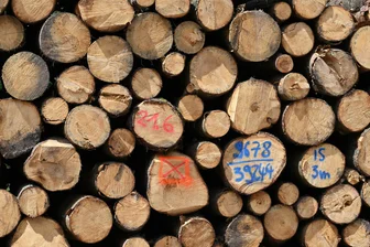 Holzernte startet im Neukirchener Wald: Worauf Besucher jetzt achten müssen - 