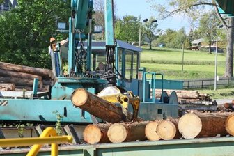 Holzknappheit bremst Bauboom aus - Obwohl das Sägewerk in Bärenwalde an seiner Kapazitätsgrenze arbeitet, kann es derzeit die gestiegene Nachfrage an Bauholz nicht befriedigen, werden aktuell keine Aufträge von privaten Kunden entgegengenommen. 