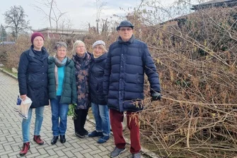 Holzschnitt bringt Anwohner in Chemnitz auf die Palme - Anwohner der Geibelstraße können nicht verstehen, warum auf einem Streifen zu einer Kleingartenanlage, so viele Sträucher massiv gestutzt worden. Im Bild: Steffi Hammer, Johanna Riedel, Renate Müller, Sigrid Looße und Hans-Martin Hammer (v. l.).
