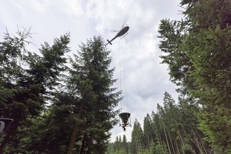Hubschrauber-Einsatz im Erzgebirge: Waldkalkung über Geyerschem Wald erfordert Sperrungen - Für die Waldkalkung sind Hubschrauber über dem Geyerschen Wald im Einsatz.