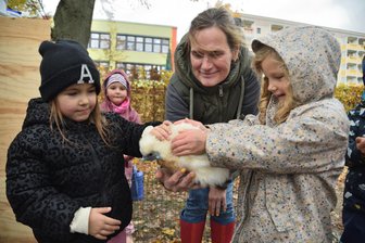 Hühner-Projekt begeistert Oelsnitzer Kindergartenkinder - 