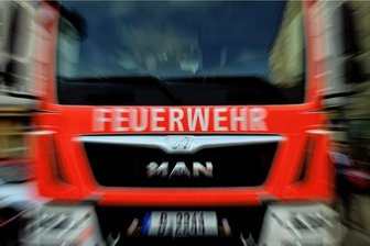 Hündin Lisa bricht in Eis ein - Feuerwehr rückt in Bad Schlema aus -