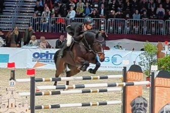 Hürden mit Bravour genommen - Felix Wassenberg vom RFV Paulushof Zwickau verpasste mit Cartendro den Sprung ins Finale zum Großen Preis von Sachsen. Dennoch war sein Wochenende sehr erfolgreich.
