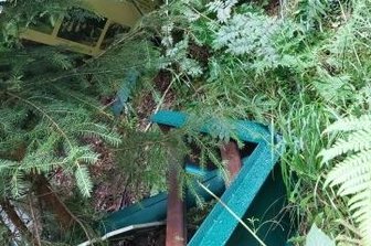 Hüttenbach: Tafeln werden repariert - Auf die im Wald liegenden beschädigten Schilder und Tafeln am Naturlehrpfad Hüttenbachtal hatten Leser aufmerksam gemacht. 