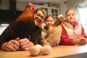 Huhn auf dem Arm: Wie die Zwillinge Ida und Elsa aus dem Erzgebirge ihre Tiere zahm machen - Fürs Foto wagen sich Hahn und Henne auch schon mal in die Küche der Familie Nötzel-Rößger.