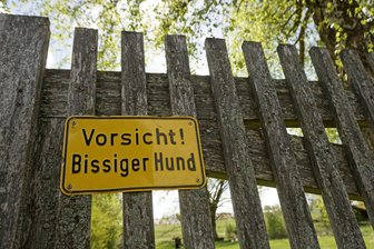 Hund beißt Essenslieferantin und Paketboten: Wie urteilt das Amtsgericht Freiberg? - Auf einem Firmengelände im Erzgebirge hat ein Hund innerhalb von acht Wochen zweimal Passanten angefallen und gebissen.