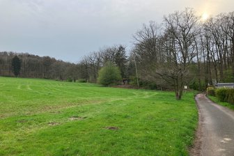 Am 23. Januar 2022 ereignete sich am Auensteig in der Mittweidaer Aue ein Vorfall zwischen einem Jogger und einem Hundebesitzer. Dies wurde am Mittwoch im Amtsgericht Döbeln verhandelt.