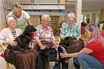 Hund Mady bringt Demenzkranke in Crimmitschau zum Weinen: „Das ist doch das bayrische Mädel“ - Zweimal im Monat schaut Jenny Haberland (r.) mit den Hunden Pitchu (l.) und Mady im Crimmitschauer Pflegeheim „Im Park“ vorbei. Mitarbeiterin Cornelia Müller organisiert die Treffen.