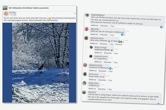 Hund oder Wolf: Was zeigt der Schnappschuss aus Westsachsen? - Foto: Facebook, Screenshots: FP, Grafik: Uwe Mann
