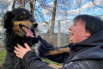 Hund über Tierheim-Zaun in Limbach entsorgt: „Solche Menschen wollen Kuscheltiere wie aus der Müller-Drogerie“ - Ein Herz und eine Seele. Tobi und die ehrenamtliche Pflegerin Nadine Jacob verstehen sich super. Der Border Collie-Mix wurde jüngst über den Zaun ins Tierheim „entsorgt“, wie es Vereinschefin Adelheid Friedrich ausdrückt. „Dabei ist das so ein lieber und lebenslustiger Kerl. Wer ihn bekommt, wird viel Freude mit ihm haben.“