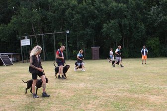 Hunde, Action, Mitmachspaß: Königswalde feiert Agility-Start - Am Samstag stellen sich die Mitglieder des Königswalder Hundesportvereins vor.