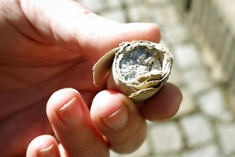Hundebesitzer sind nach möglichem Giftköder-Fund in Gersdorf verunsichert - Eine unbekannte, in Pappe gerollte Substanz wurde am Dienstagmorgen in Gersdorf gefunden.