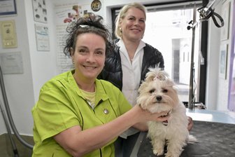 Hundefriseurin aus dem westsächsischen Fraureuth liebt ihren Job: „Doch Färben kommt nicht infrage“ - Anja Häßler-Müller (hinten) aus Bad Schlema bringt ihre Hündin Holly regelmäßig zu Simone Siegel zum Frisieren.