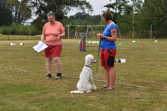 Hundesport in Geringswalde lockt Teilnehmer aus ganz Deutschland an - Mensch und Tier durchlaufen ein Areal, das mit Kommandoschildern versehen ist.