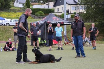 Hundesportler aus ganz Sachsen fahren am Wochenende ins Erzgebirge - In der Vergangenheit richtete der Verein einen Workshop mit Hundetrainer Neubrand aus.