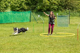 Hundesportverein aus dem Erzgebirge lädt zum Tag der offenen Tür - Der HSV Annaberger Hoopers lädt zum Tag der offenen Tür. Hier Hundeführerin Natalie Tiesler mit Cowan bei einem früheren Wettkampf.