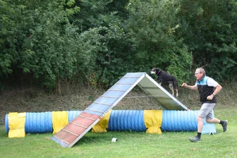Hundstage, Hitze und Hundesportverein: Tipps für Tierhalter und ein Blick nach Königswalde - Uwe Göpel trainiert mit seiner neun Jahre alten Mischlingshündin Ebba auf dem Agility-Parcours.