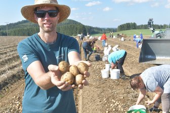 Hype um DDR-Kartoffelsorte „Adretta“: Hunderte kommen zum Selbsternten nach Burkersdorf - Gunter Martin ist der Vorsitzende der Agrar-Genossenschaft Burgberg und packt selber mit an. Sein Lieblingsessen: Schafbraten mit grünen Bohnen und eigenen Kartoffeln.