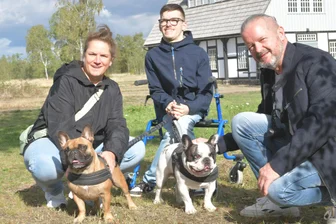 „Ich bin ein ganz normaler Mensch“: Instagram-Liebling Niclas aus Freiberg, sein Handicap und seine Bulldoggen - Nadine, Niclas und Steffen Markolwitz sind mit ihren Bulldoggen Holly und Willy (von links) gern unterwegs. Einer ihrer Lieblingsorte ist die Halde der Alten Elisabeth.