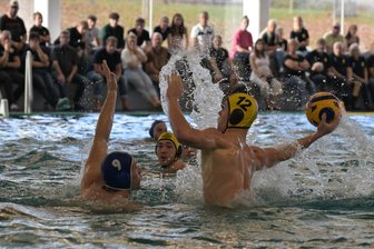 „Ich bin froh, dass keiner verletzt wurde“ – Zwickauer Wasserballer müssen gleich zwei Niederlagen einstecken - Trotz Niederlage verkaufte sich der SV Zwickau – am Ball Carl Trommler – gut gegen Würzburg.