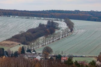 „Ich verstehe nicht, wie man so etwas genehmigen kann“: Einwohner in Glauchau kritisieren künftigen Windpark - Zwischen dem Ebersbacher Wald und Niederlungwitz werden acht Windräder errichtet.