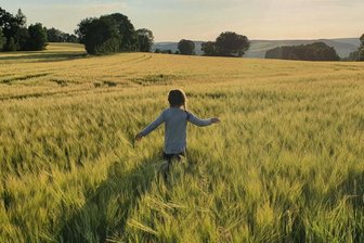 Idylle auf dem Land - 