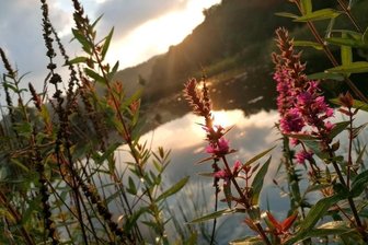 Idyllische Stimmung im Kurpark - 