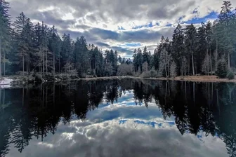 Idyllisches Bild zeigt Doppelung - 