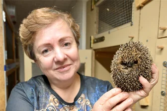 Igel-Mutter aus dem Erzgebirge erhält besondere Ehrung des Landkreises - Kathrin Effenberger ist mit einem Ehrenamtspreis des Erzgebirgskreises ausgezeichnet worden.