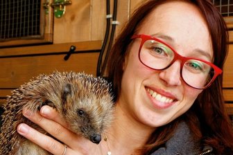 Igel-Retter warnen vor "überpflegten Gärten" - Sandra Kühnert mit einem ihrer Schützlinge. 