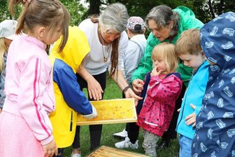"Igelchen" freunden sich mit Bienen an -