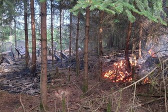 Illegale Feuerstellen führen im Vogtland zu mehreren Bränden - Im Röhrholz hat es zuletzt wiederholt gebrannt.