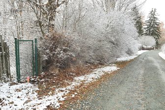 Illegale Müllhalde im Vogtland bald eine schmucke Fläche - Die ehemalige Gartensparte am Lochsteinweg hält sich mit Büschen bedeckt.