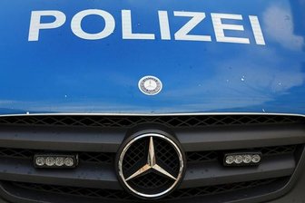 Illegaler Transport von Katzenbabys aufgedeckt - 