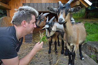 Im Erzgebirge wird wieder die schönste Meckerziege gesucht - Wildbach-Gastwirt Dave Weber mit seinen 2025 geborenen Schützlingen, die mit dabei sein werden.
