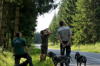 Im Erzgebirgswald auf der Suche nach Saatgut: Welche Bäume reiche Ernte versprechen - Im Forstbezirk Eibenstock war man auf der Suche nach Saatgut.
