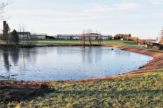 Im Großwaltersdorfer Escheteich haben Morrfrosch, Grasfrosch und Erdkröte eine Zukunft - Frisch saniert: Der Escheteich in Großwaltersdorf. Rechts ist der neue Damm zu erkennen. 