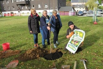 Im Kinderheim der Arche sollen Blütenträume reifen - Hannelore Prager, Petra Zönnchen und Swantje Bock (v. l.) gehen Ricardo beim Pflanzen eines Baumes helfend zur Hand. 
