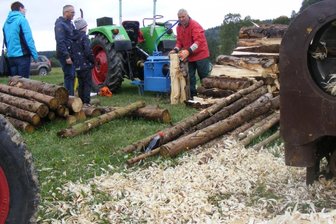 Im Museum Eubabrunn dreht sich am Sonntag alles ums Holz - 