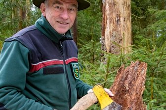 Im Ruhestand hat Revierförster den Borkenkäfer weiter im Blick - Michael Lerche ist Revierförster in Wildenthal. Auch in seinem Revier hat der Borkenkäfer Schäden angerichtet. Für 2022 hofft er darauf, dass sich die Insekten nicht wieder massenhaft vermehren. 