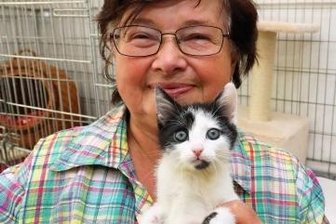 Im Tierheim ist noch Platz für Hund und Katz - Für die jungen Kätzchen wie Betty finden Karin Junold und ihre Mitstreiter sicherlich ein gutes Zuhause..