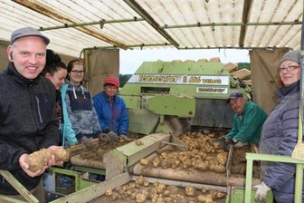 Im Vogtland alte Kartoffelsorte geerntet - Auf der Kartoffelkombine bei der Arbeit sind Christian Kluge-Sammer mit Mitarbeiterin Susann Hofmann und den Erntehelfern Svenja Strunz, Brunhilde Sammer, Wilfried Meyer und Nadine Strunz (von links), die die Kartoffeln verlesen.