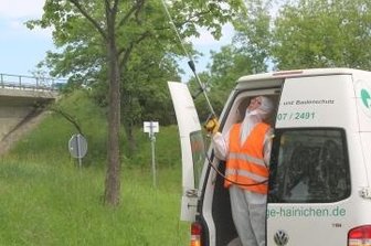Im Vollschutz gegen gefährliche Falter-Raupen - Schädlingsbekämpfung auf der S 34 nahe Leisnig.